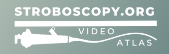 stroboscopy.org logo